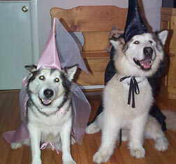 Halloween 99