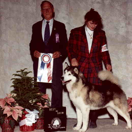 Best In Show