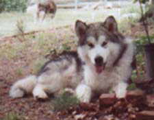 Payton
